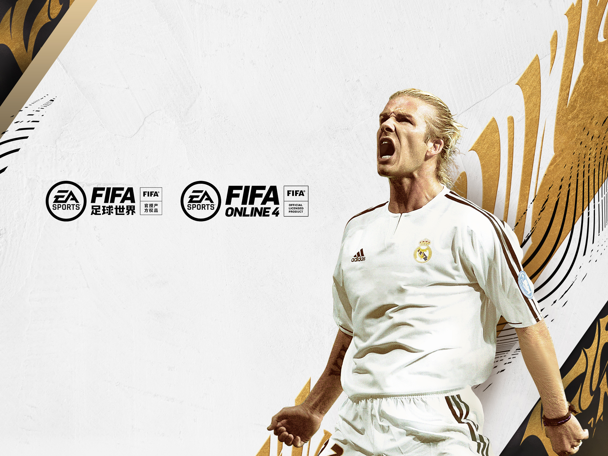 足球明星才华横溢，战绩拼搏成就非凡