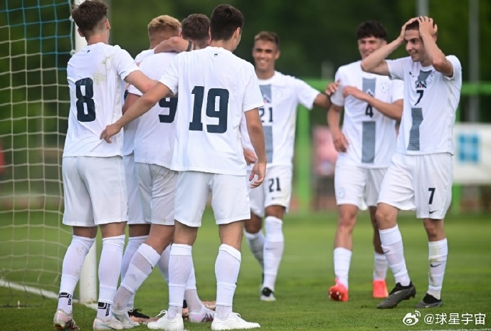 斯洛文尼亚0-1负于荷兰队